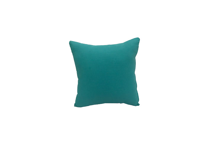 Buy Throw Cushion Ediy.in