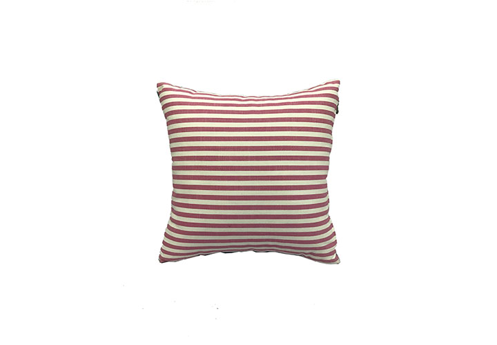 Buy Throw Cushion Ediy.in