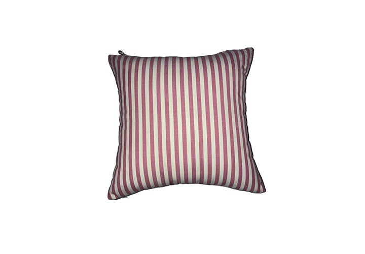 Buy Throw Cushion Ediy.in
