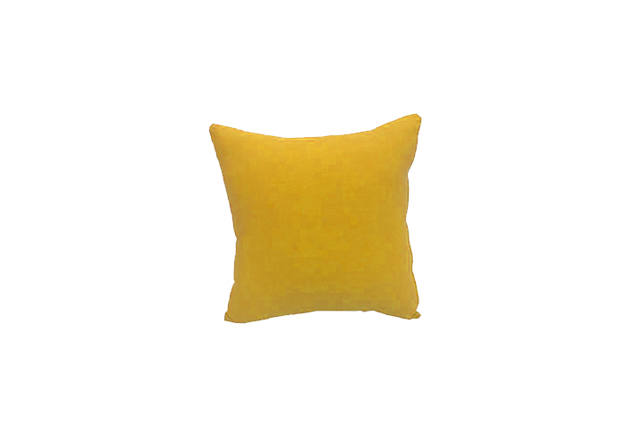 Throw Cushion